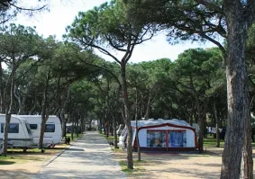 Camping - Blanes - Costa Brava - Blanes