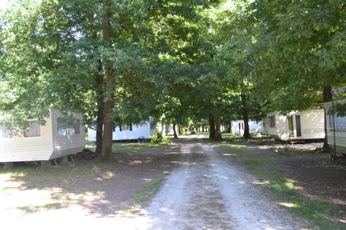 Camping - Sémussac - Poitou-Charentes - Bois de la Chasse
