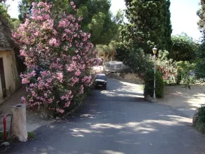 Camping - Calella - Costa Brava - Bona Vista