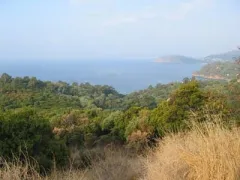Camping - Cavalaire-sur-Mer - Provence-Alpes-Côte d'Azur - Bonporteau