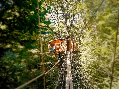 Camping - Ranchot - Franche-Comté - Cabanes du Bois Clair