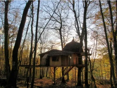 Camping - Ranchot - Franche-Comté - Cabanes du Bois Clair