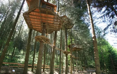 Camping - Cublize - Rhône-Alpes - Cabanes du Lac des sapins