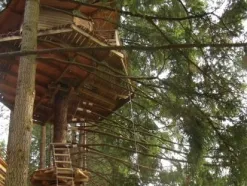 Camping - Cublize - Rhône-Alpes - Cabanes du Lac des sapins
