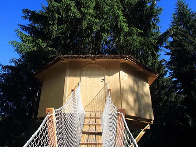 Camping - Passy - Rhône-Alpes - Cabanes du Mont-Blanc