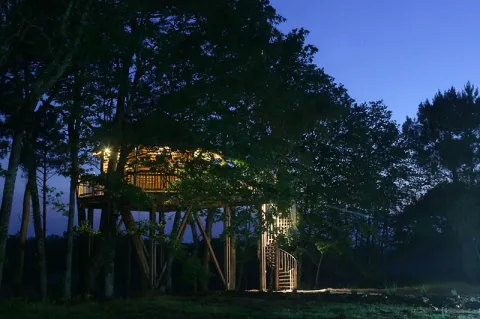 Camping - Capdrot - Aquitaine - Cabanes Perchées dans les Arbres