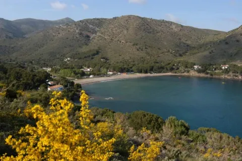 Camping - Rosas - Costa Brava - Cala Montjoi