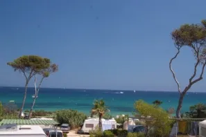 Camping - Bormes-les-Mimosas - Provence-Alpes-Côte d'Azur - Camp du Domaine