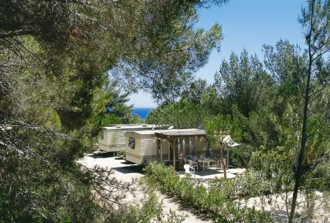 Camping - Bormes-les-Mimosas - Provence-Alpes-Côte d'Azur - Camp du Domaine