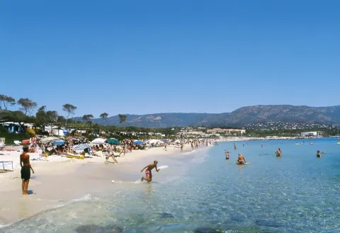 Camping - Bormes-les-Mimosas - Provence-Alpes-Côte d'Azur - Camp du Domaine