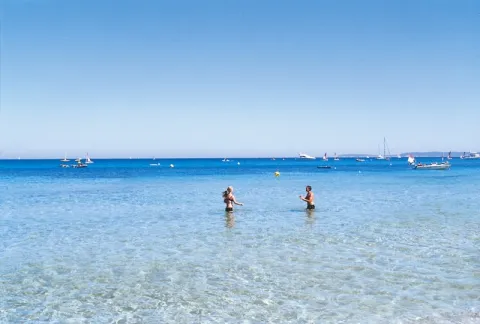Camping - Bormes-les-Mimosas - Provence-Alpes-Côte d'Azur - Camp du Domaine
