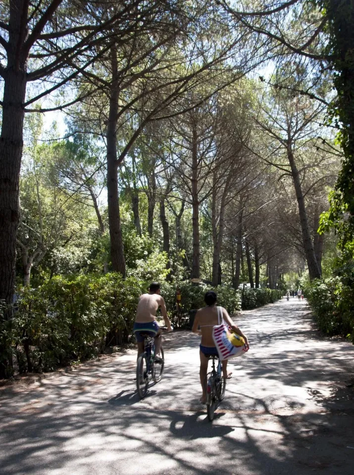 Camping - Vada - Toscane - Campo dei Fiori