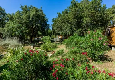 Camping - Porto-Vecchio - Corse - Campo di Mare