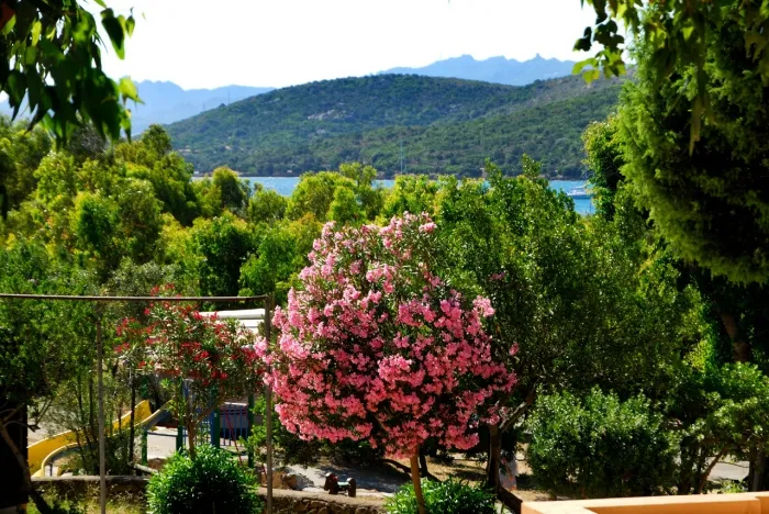 Camping - Palau - Sardaigne - Capo d'Orso