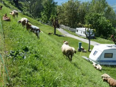 Camping - Montchavin les Coches - Rhône-Alpes - Caravaneige de Montchavin