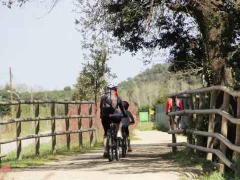 Camping - Palamos - Costa Brava - Castell Park