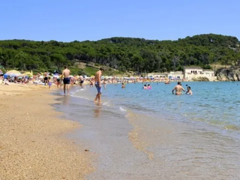 Camping - Palamos - Costa Brava - Castell Park