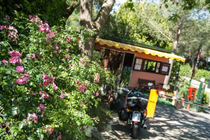 Camping - Monte del Lago - Ombrie - Cerquestra