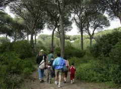 Camping - Marina di Grosseto - Toscane - Cieloverde