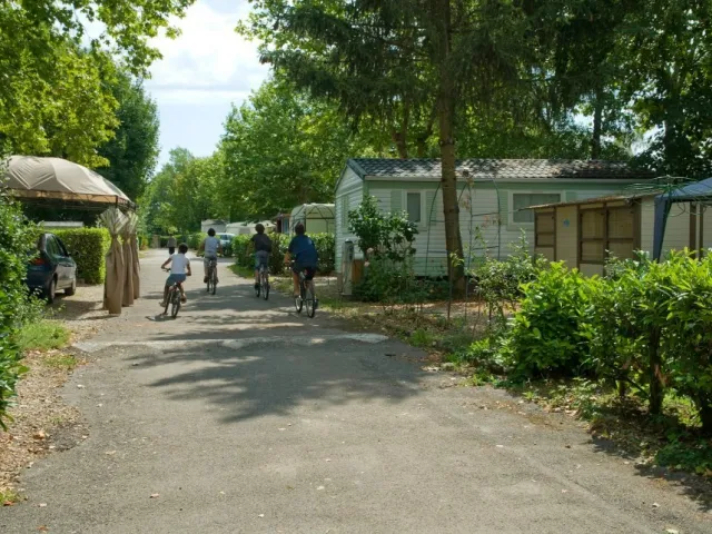 Camping - Villieu-Loyes-Mollon - Rhône-Alpes - Claire Rivière