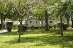 Camping - Argelès-sur-Mer - Languedoc-Roussillon - Comanges