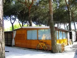 Camping - Marina di Massa - Toscane - Dal Pino