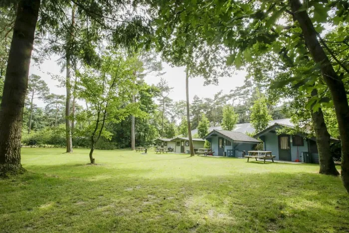 Camping - Bergeijk - Brabant-du-Nord - de Paal