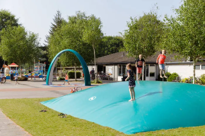 Camping - appelscha - Frise - de Roggeberg