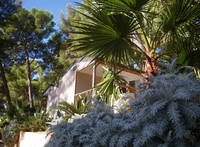 Camping - Ceyreste - Provence-Alpes-Côte d'Azur - de Ceyreste
