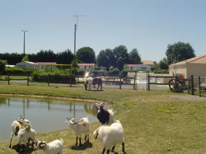 Camping - Vendrennes - Pays de Loire - Camping de la Motte