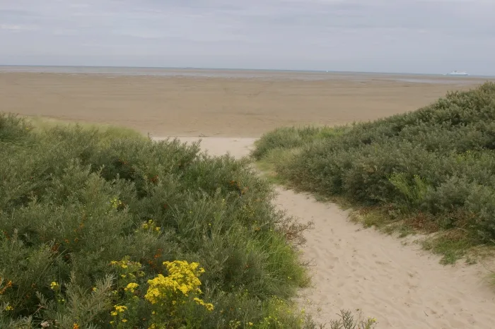 Camping - Marck - Nord-Pas de Calais - La Plage