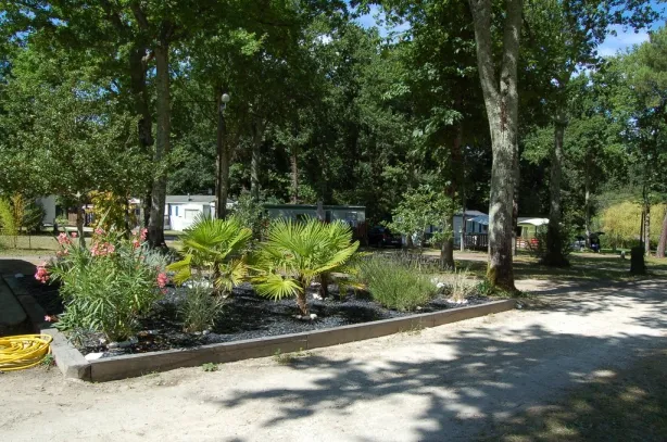 Camping - Vaux-sur-Mer - Poitou-Charentes - Camping de La Roche