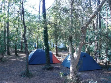 Camping - Messanges - Aquitaine - Camping de Moïsan