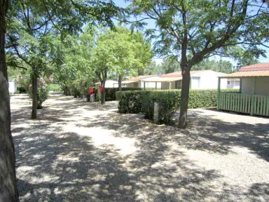 Camping - Pézenas - Languedoc-Roussillon - Camping de Montrose