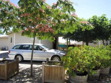 Camping - Pézenas - Languedoc-Roussillon - Camping de Montrose