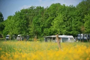 Camping - Tournus - Bourgogne - Camping de Tournus
