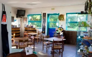 Camping - Tournus - Bourgogne - Camping de Tournus