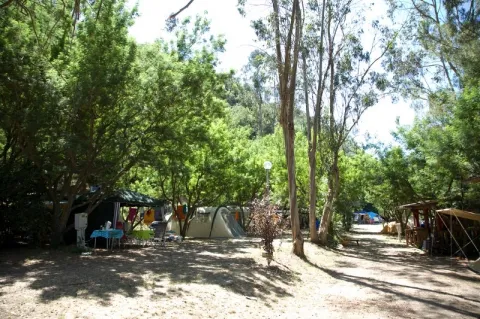 Camping - Isolabona - Ligurie - delle Rose