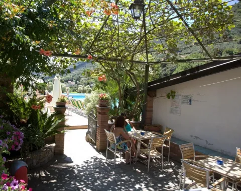Camping - Isolabona - Ligurie - delle Rose