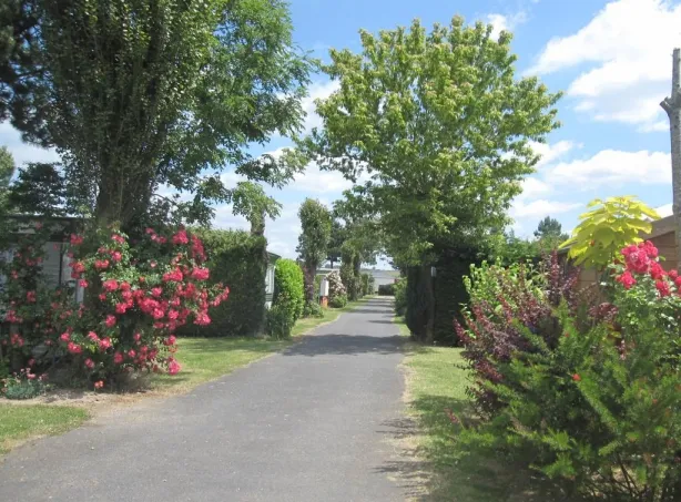Camping - Conchil-le-Temple - Nord-Pas de Calais - Camping des 4 Plages