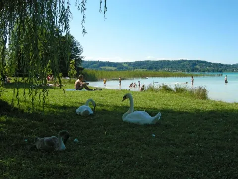 Camping - Novalaise - Rhône-Alpes - des Chavannes