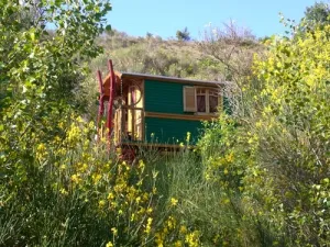 Camping - Fenouillet - Languedoc-Roussillon - des Randonneurs