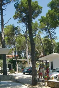 Camping Diana & Josip - Biograd