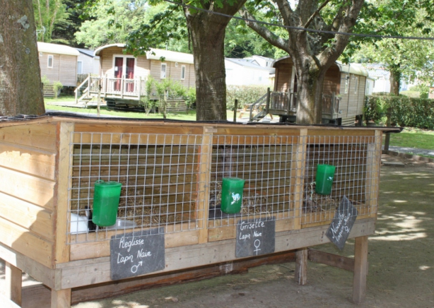 Camping - Guérande - Pays de Loire - Domaine de Bréhadour - Image #6