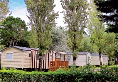 Camping - Guérande - Pays de Loire - Domaine de Bréhadour - Image #8