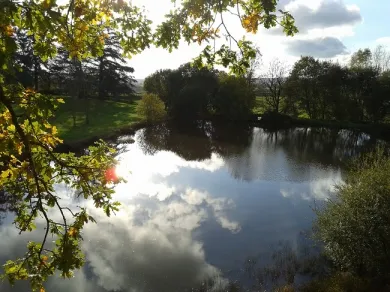 Camping - Saint-André-en-Morvan - Bourgogne - Domaine de Chaligny