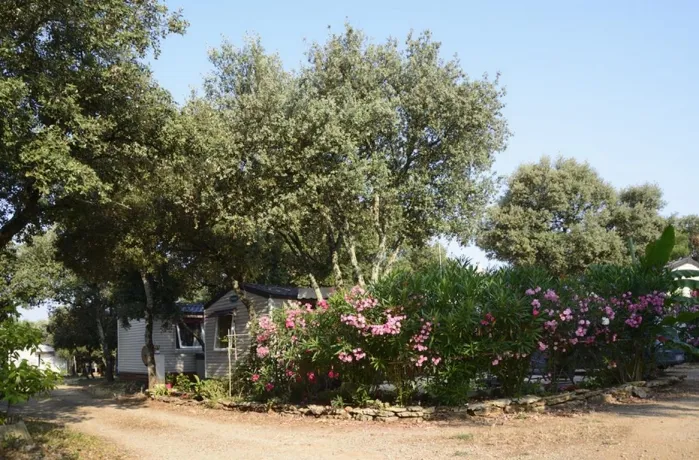 Camping - Boisseron - Languedoc-Roussillon - Domaine de Gajan