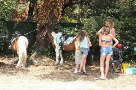 Domaine de Gajan - Boisseron