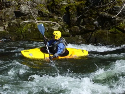 Camping - Ponte-Leccia - Corse - Domaine de Griggione