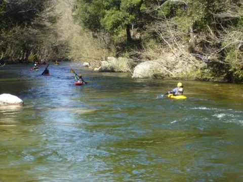 Camping - Ponte-Leccia - Corse - Domaine de Griggione